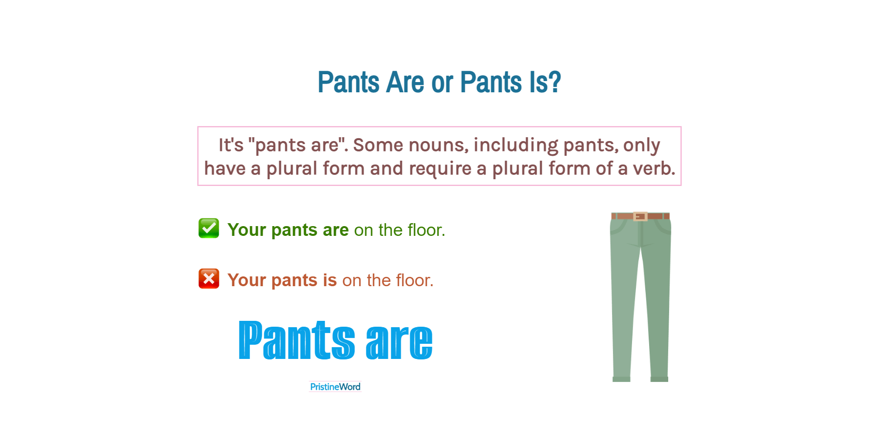 Pants Are Or Pants Is Which Is Correct