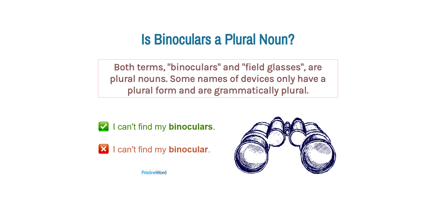 is-binoculars-a-plural-noun