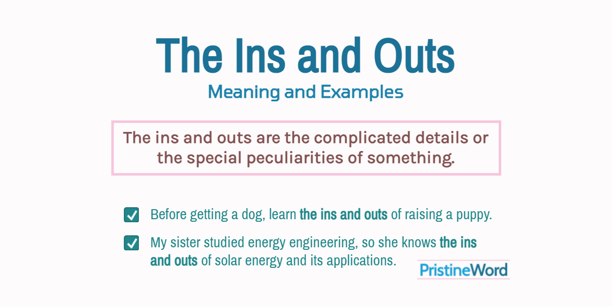  The Ins And Outs Meaning And Examples