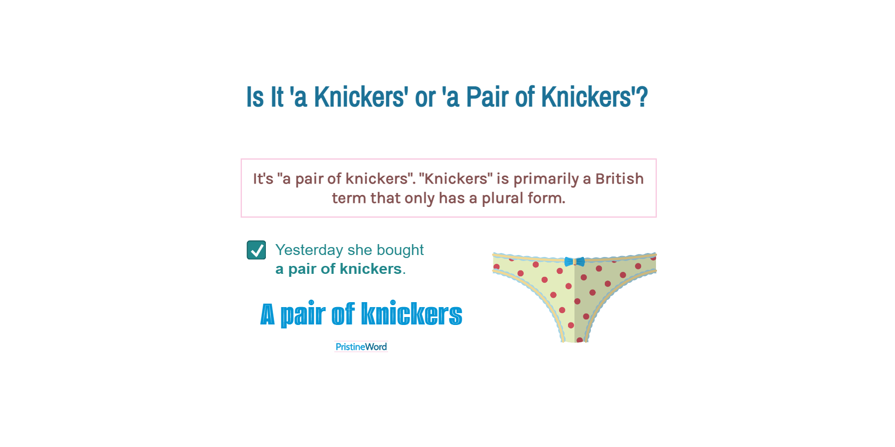  A Knickers Or a Pair Of Knickers Which Is Correct 