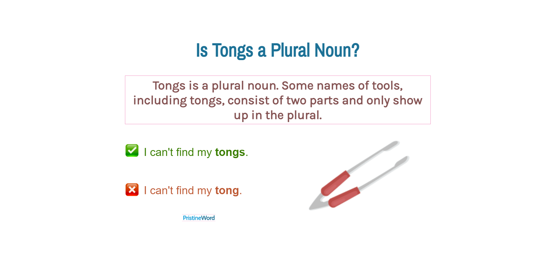 Is Tongs A Plural Noun 