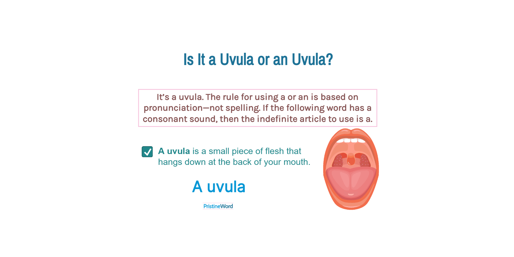 5 letter word uvula