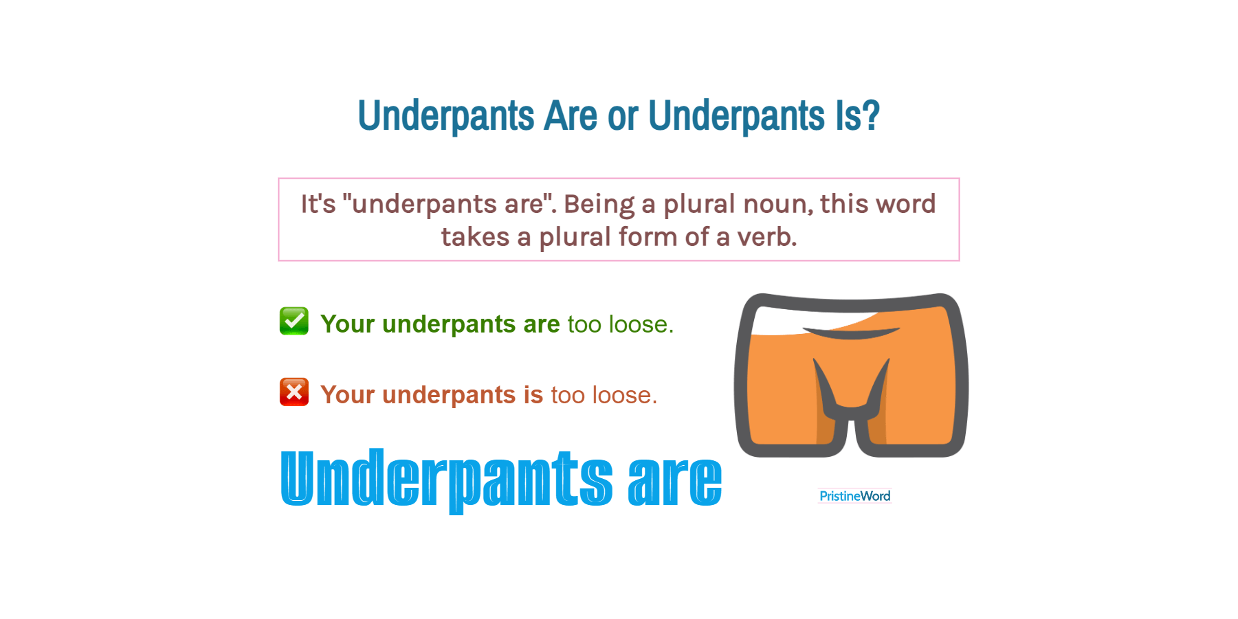 underpants-are-or-underpants-is-which-is-correct